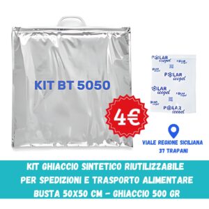 Kit Ghiaccio Sintetico 500gr + Busta 50x50